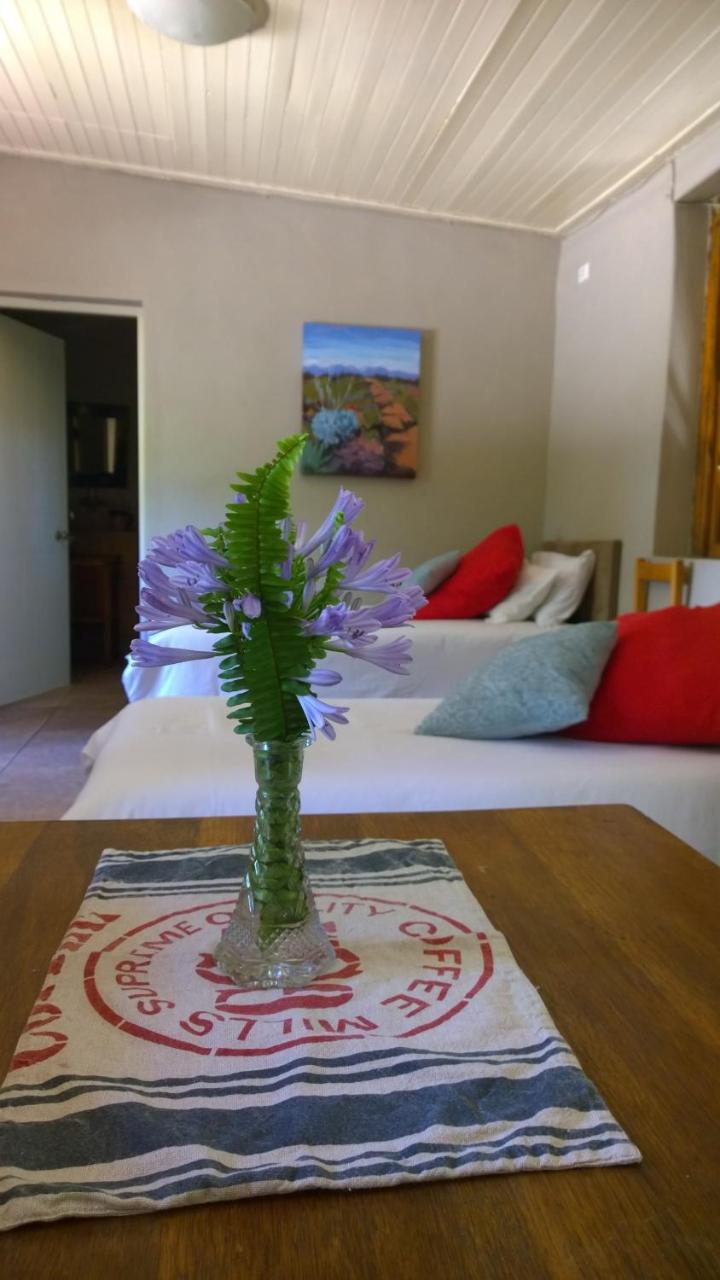 Artkaroo Stay Оудсхорн Экстерьер фото